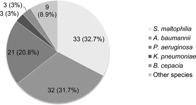 FIG 1