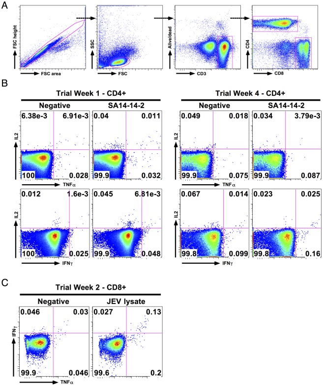 Fig 2