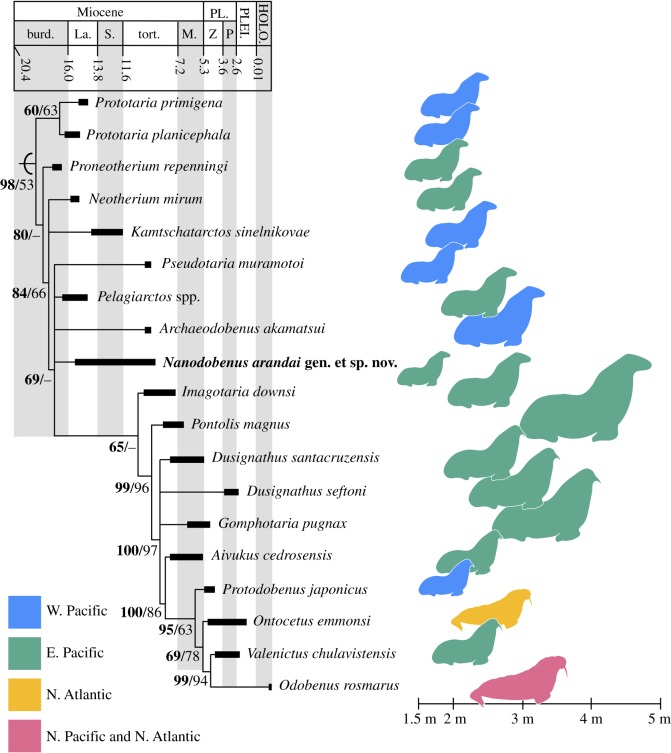 Figure 4.