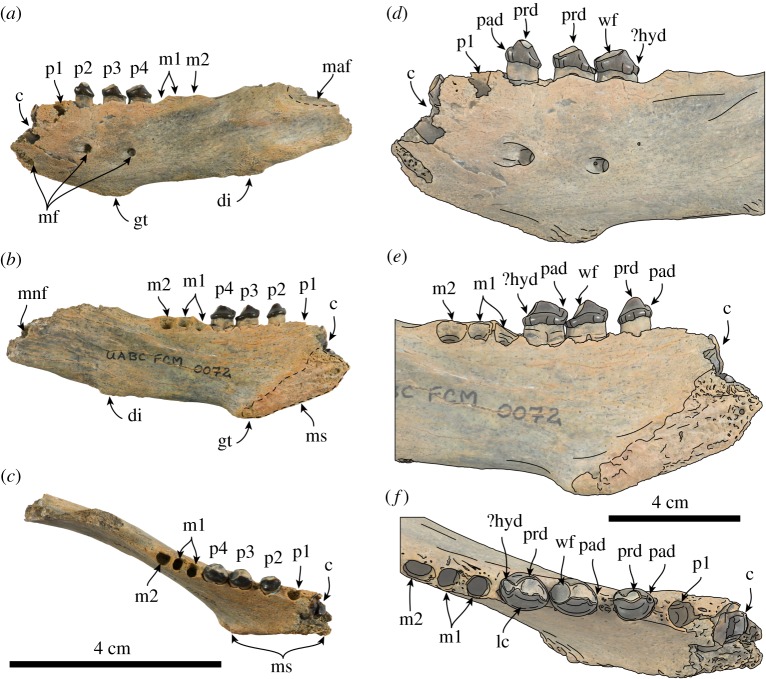 Figure 2.