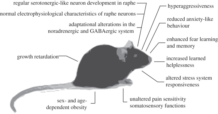 Figure 1.