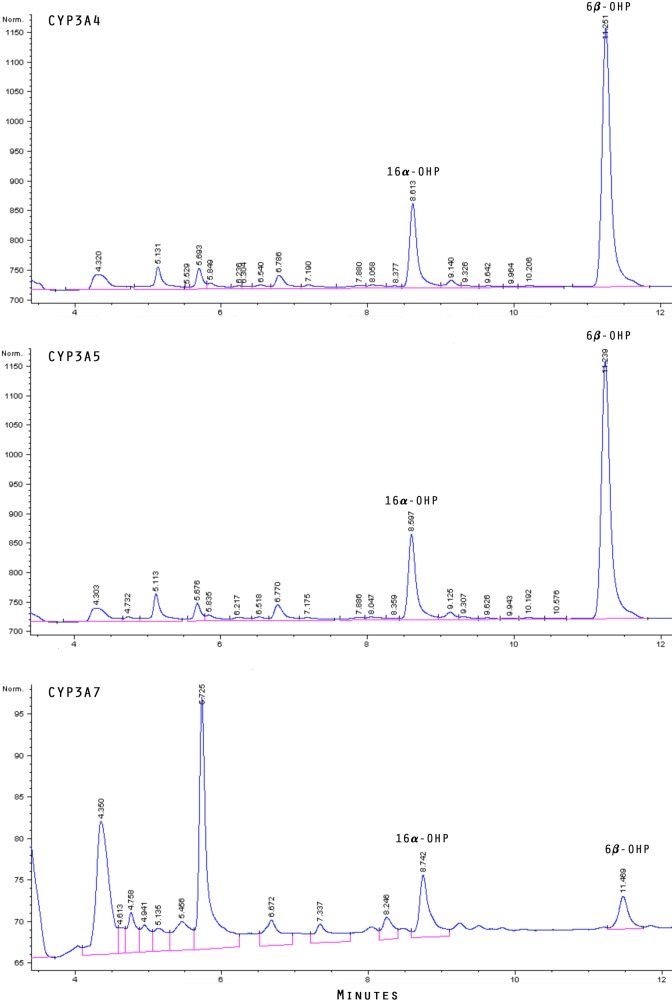 Figure 3.