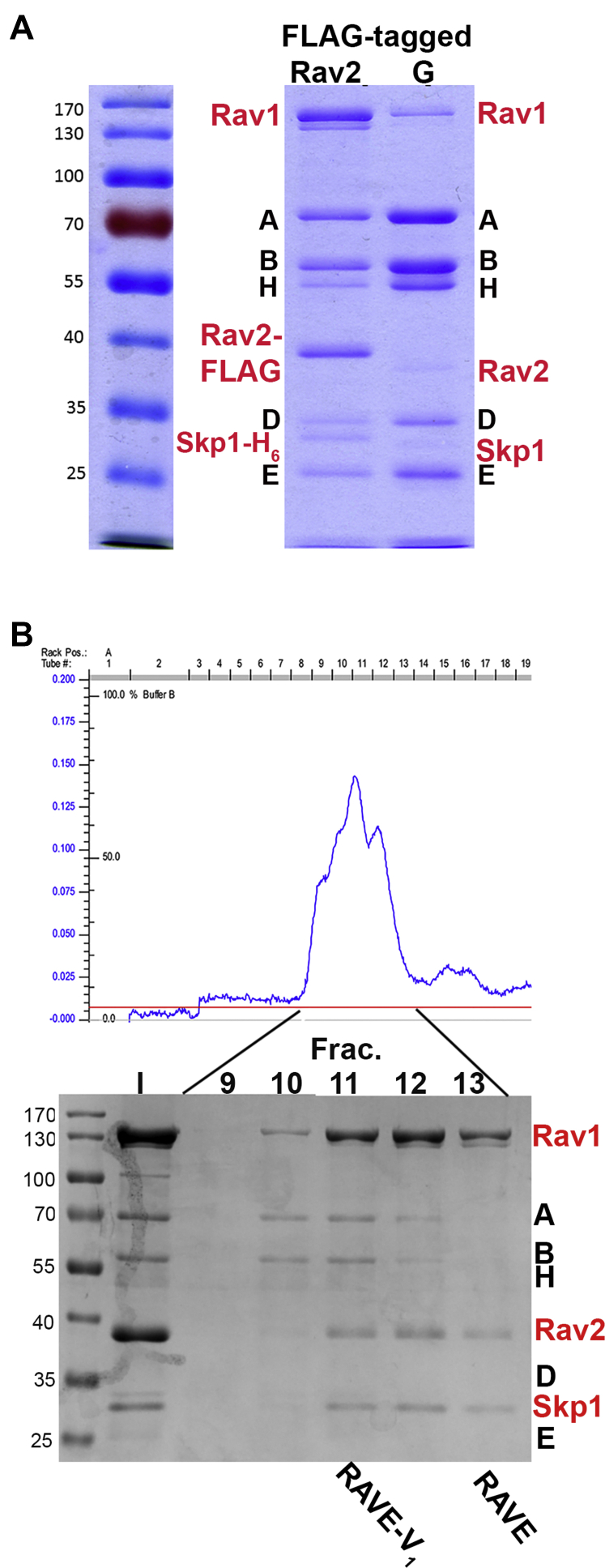 Figure 2