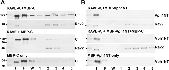 Figure 4