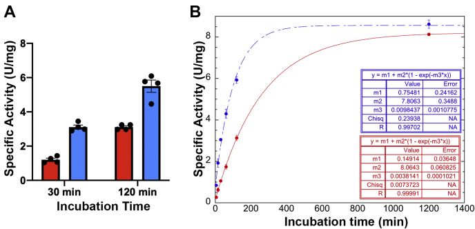 Figure 5