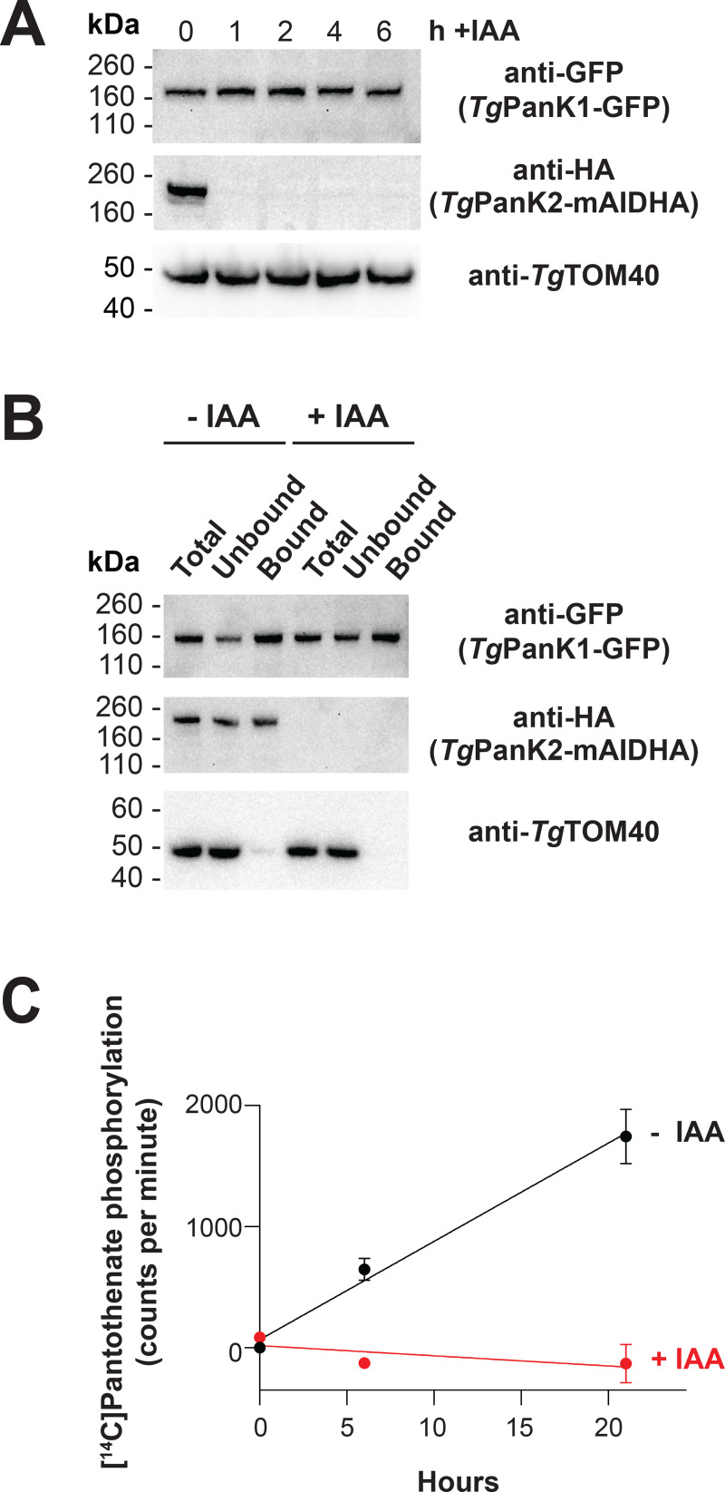 Fig 5