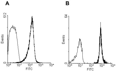 FIG. 1.