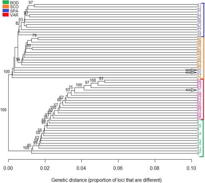 Fig. 3