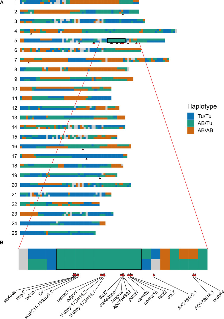 Figure 3—figure supplement 1.