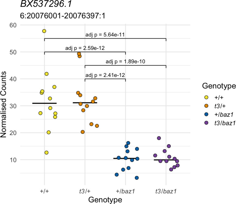 Figure 5—figure supplement 1.