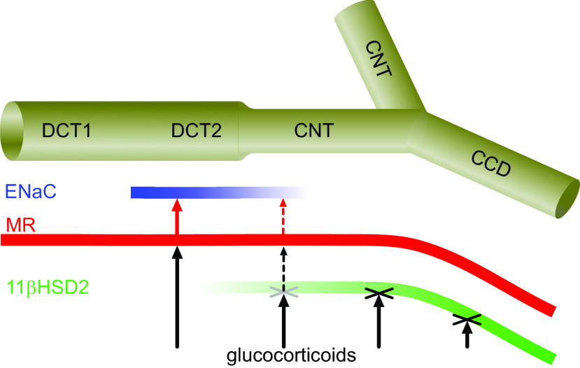 Figure 7.