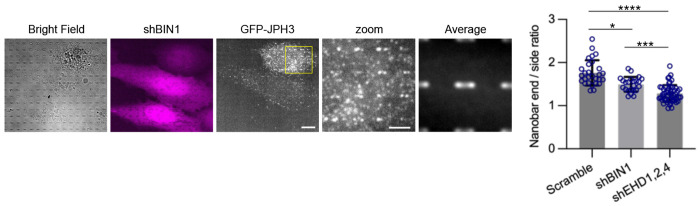 Extended Data Fig. 7: