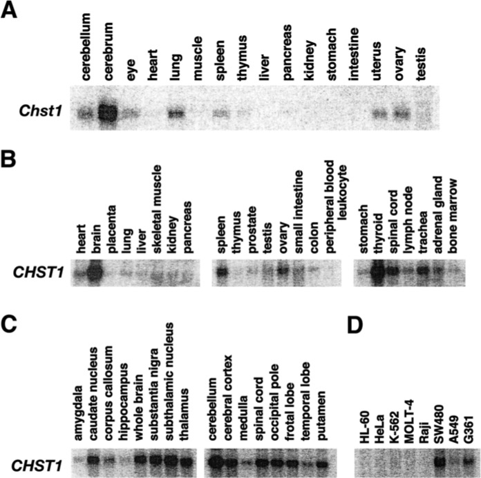 Figure 6.