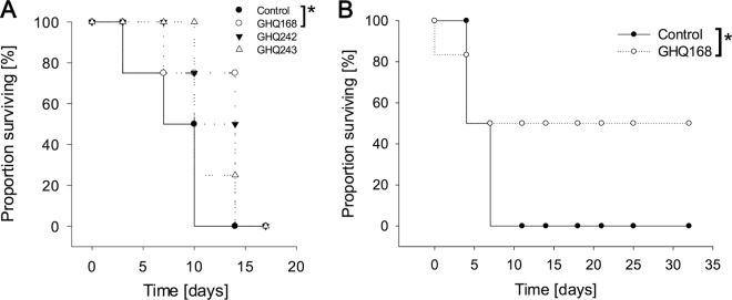 FIG 6