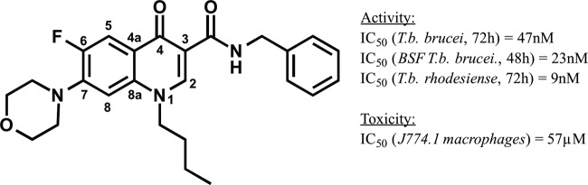 FIG 1