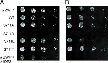 Fig. 5.