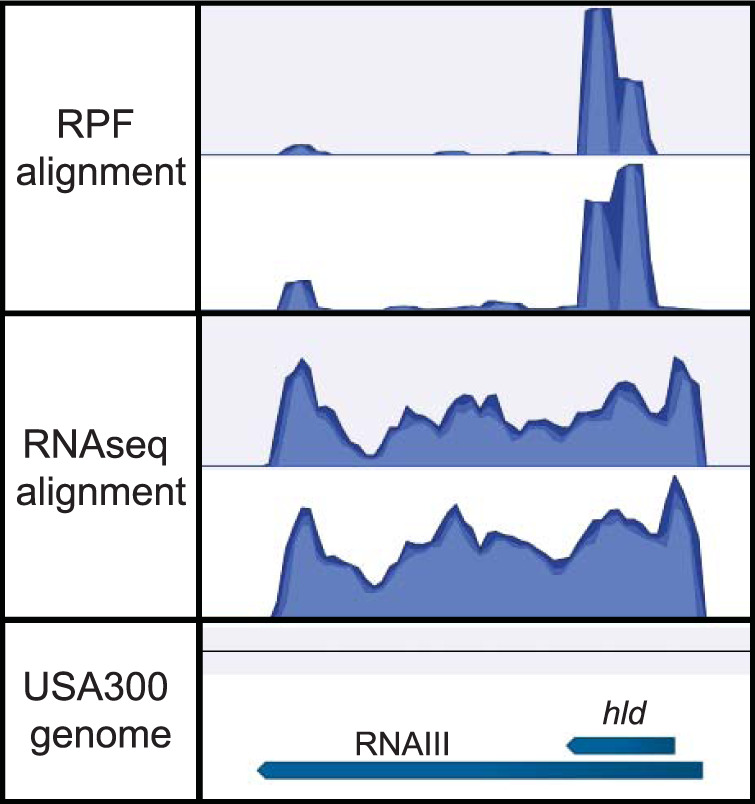 FIG 5