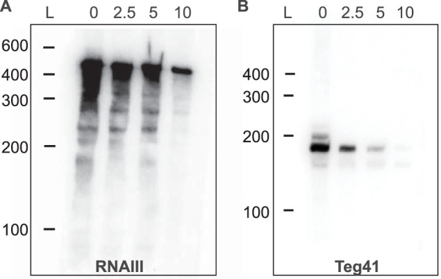 FIG 3