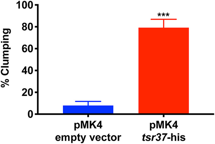 FIG 7