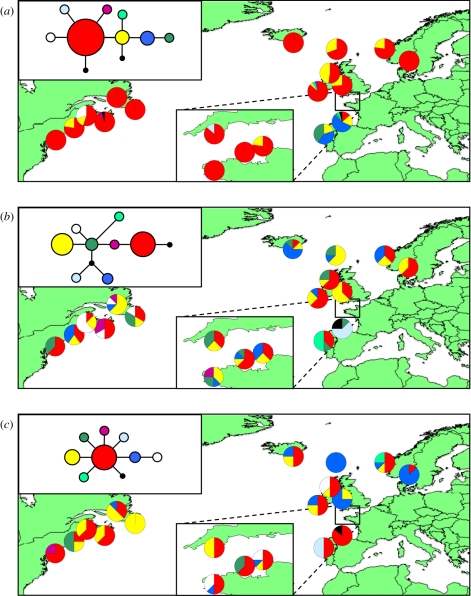 Figure 2.