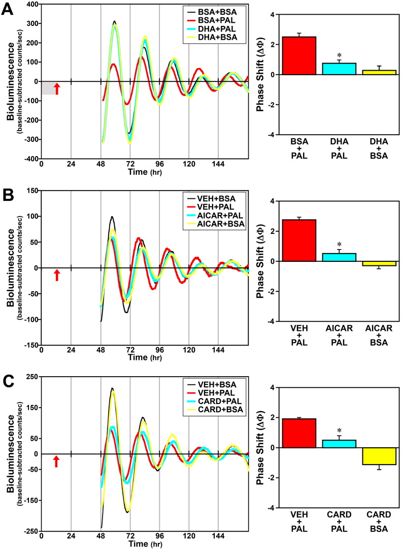 Fig. 11.