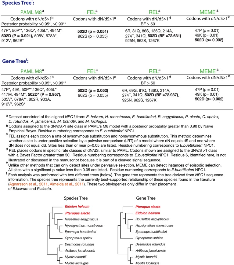 Figure 5—figure supplement 1.