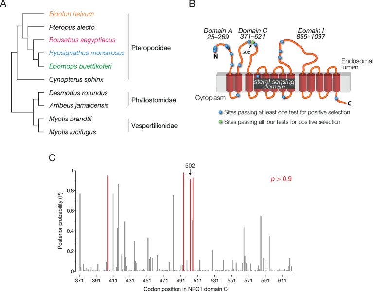 Figure 5.