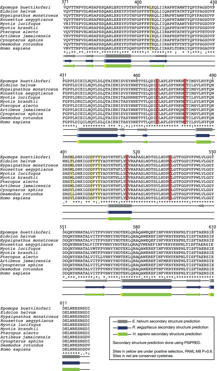 Figure 3—figure supplement 1.