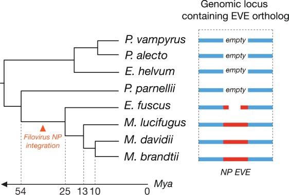 Figure 7.