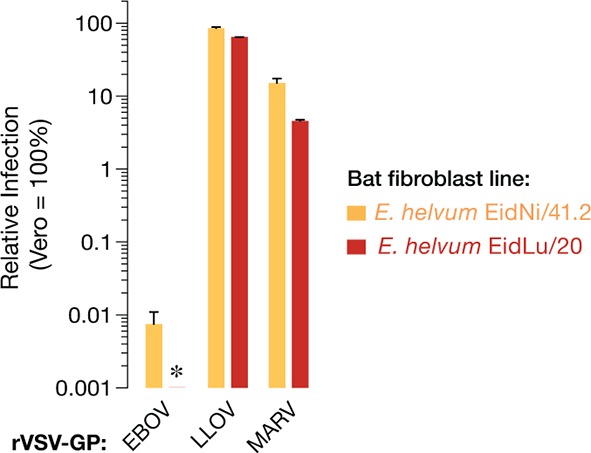 Figure 1—figure supplement 1.