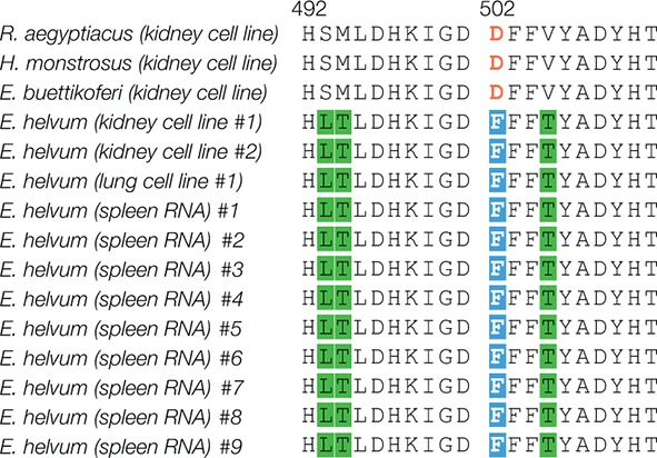 Figure 4—figure supplement 2.