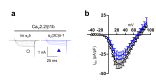 Figure 2—figure supplement 1.