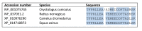 Figure 1—figure supplement 1.