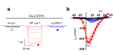 Figure 2—figure supplement 2.