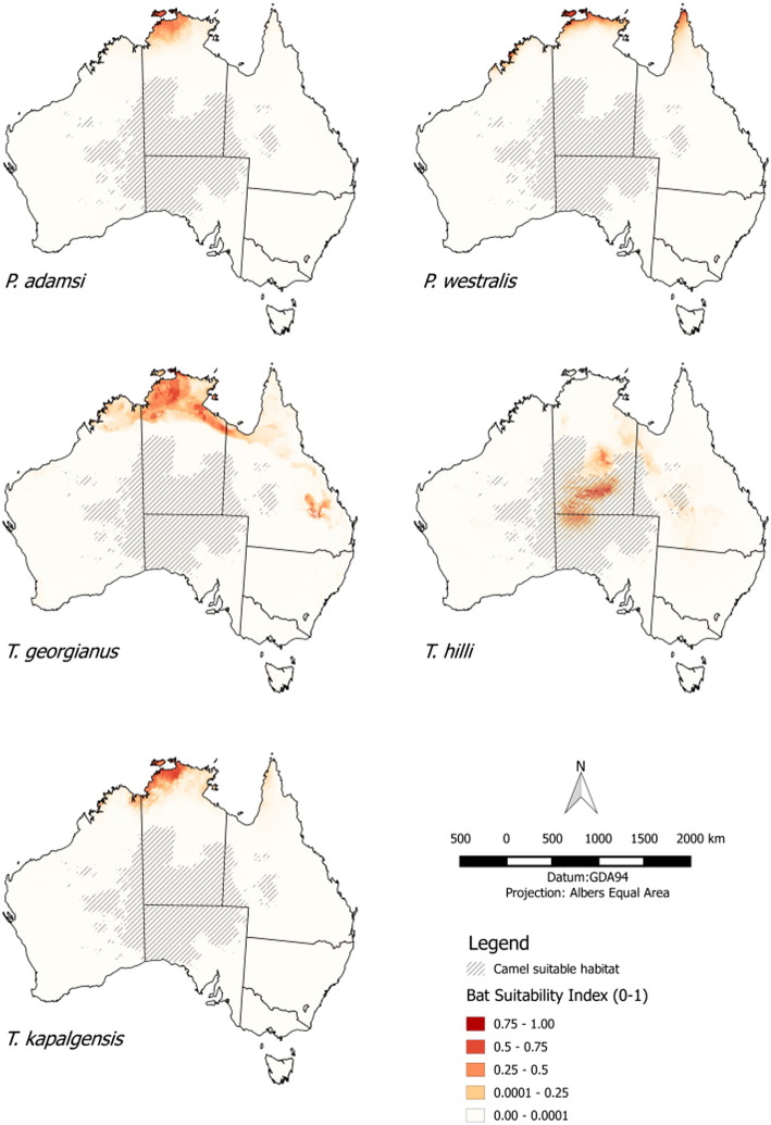 Fig. 2