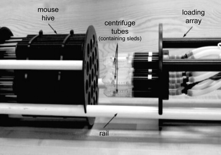 Fig 6.