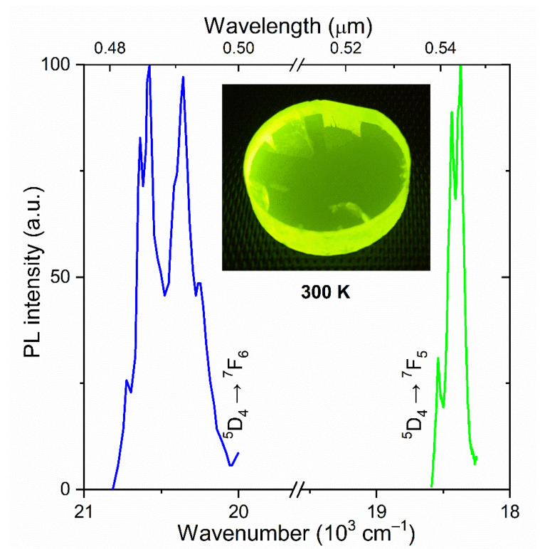 Figure 3