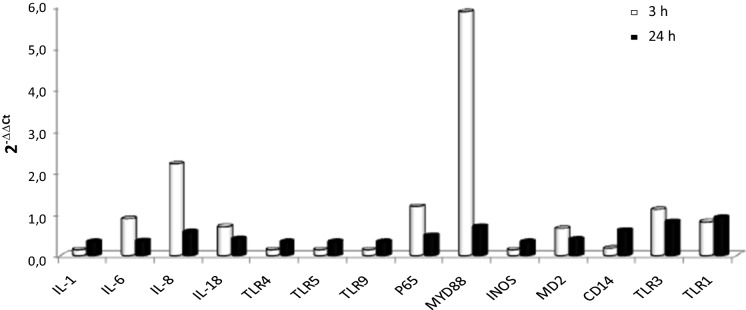 Fig. 4