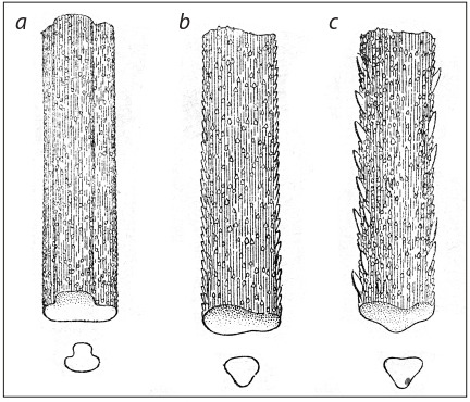 Fig. 18.