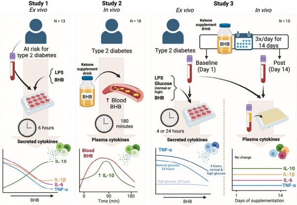 Graphical Abstract