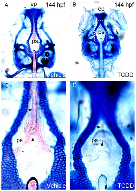 Fig. 9