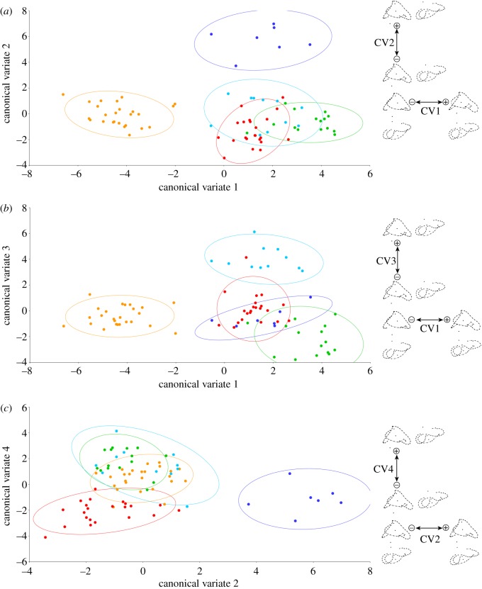 Figure 4.