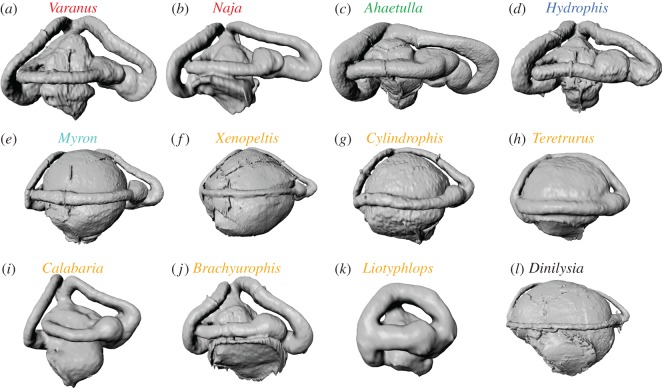 Figure 5.