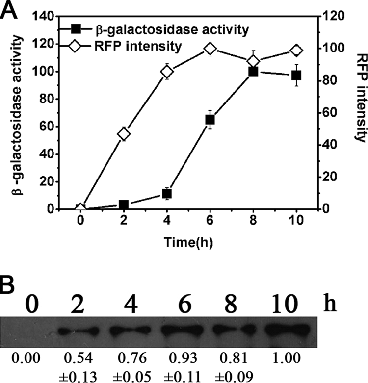 FIGURE 1.