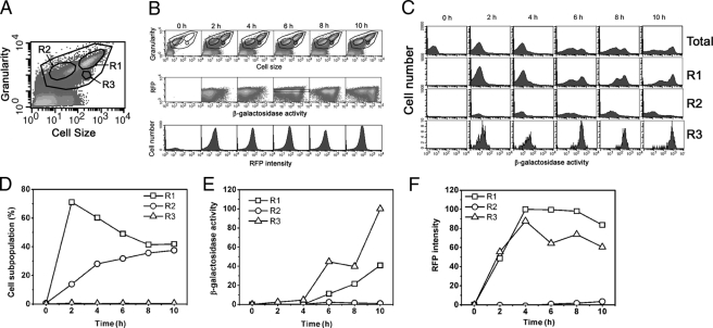 FIGURE 2.