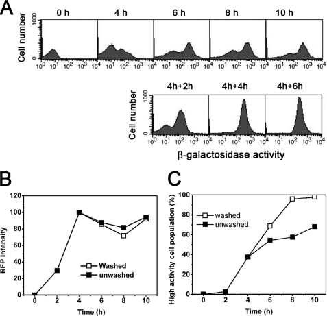 FIGURE 5.