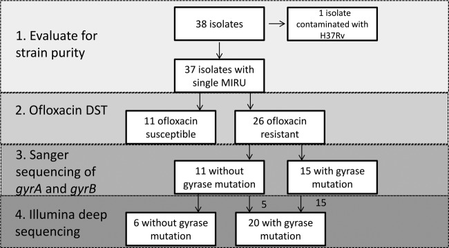 FIG 1