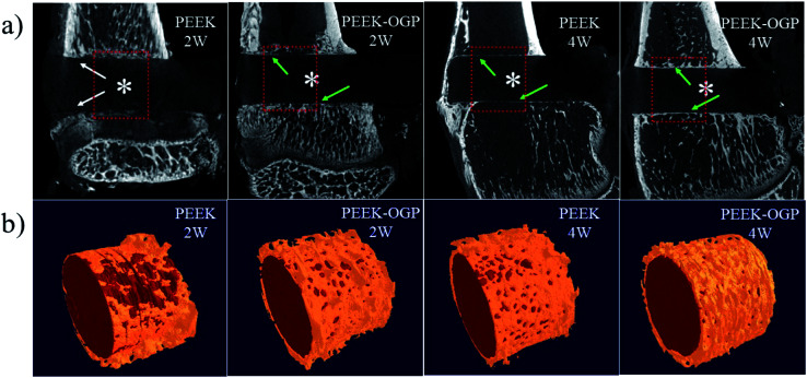 Fig. 10