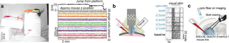 Figure 5