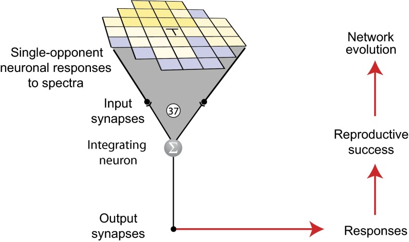 Fig. 2.